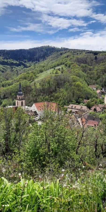 Gite A Andlau Екстериор снимка
